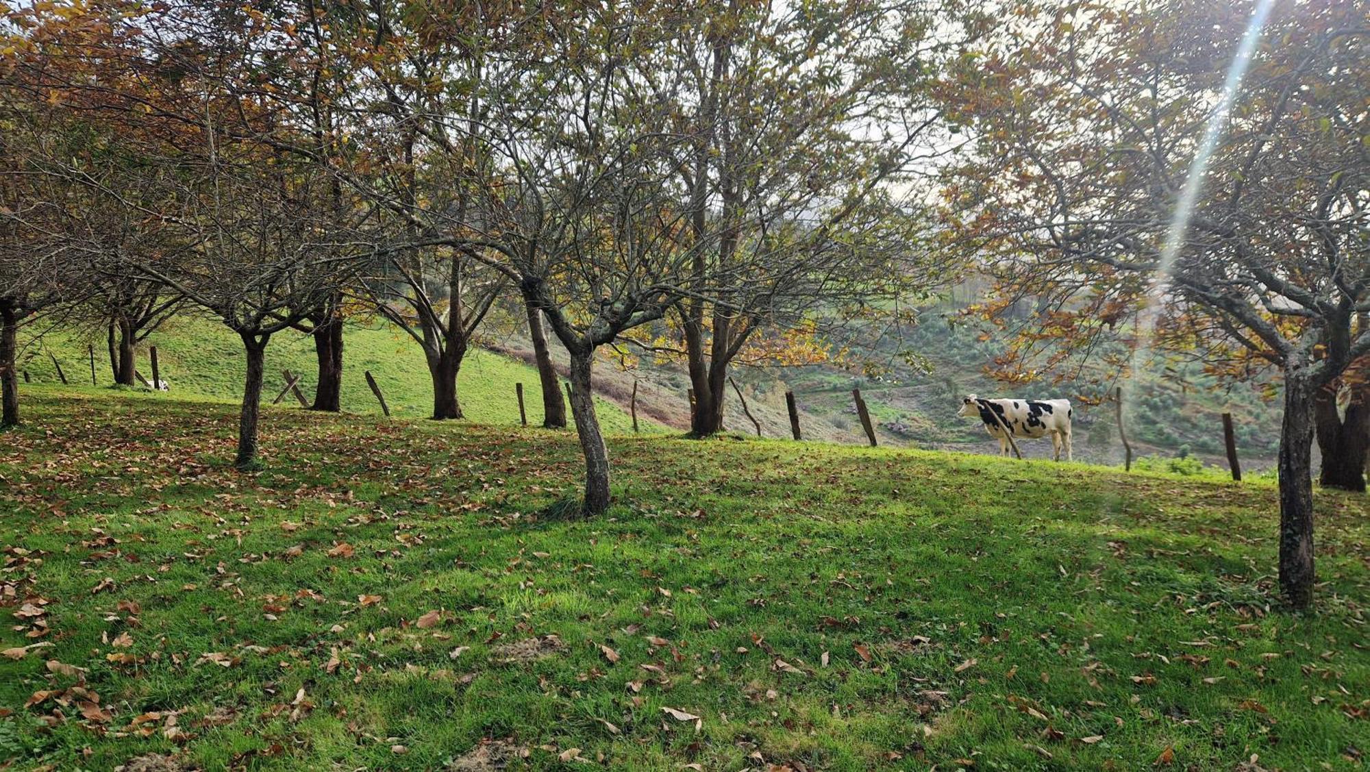 Casa Bezales En Ampuero Cantabria ภายนอก รูปภาพ